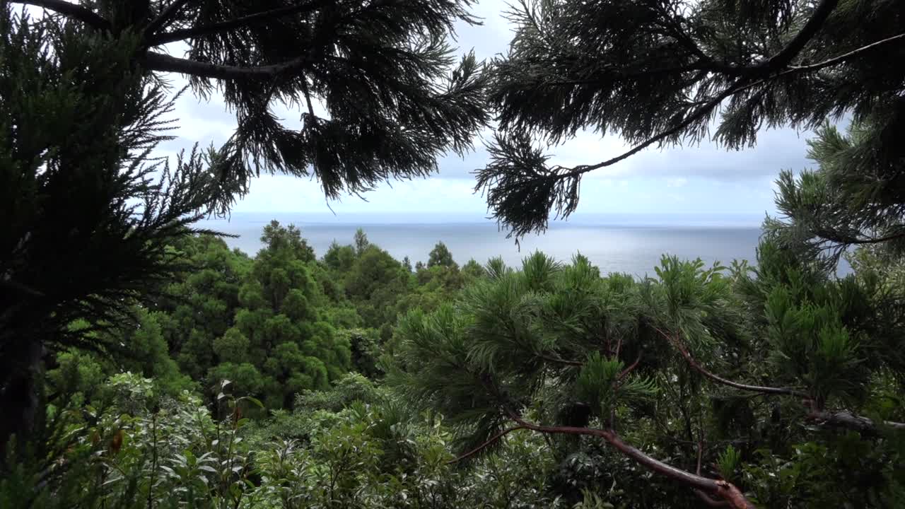 屋久岛风景/日本鹿儿岛视频素材