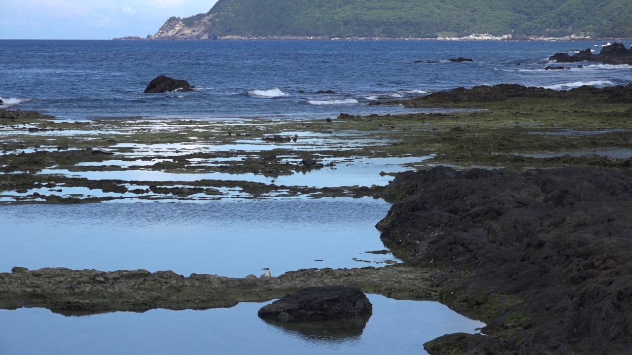 日本鹿儿岛屋久岛的海浪风景视频素材