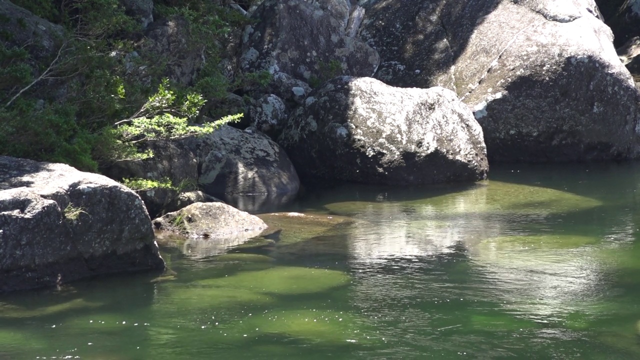 屋久岛/鹿儿岛，日本视频素材