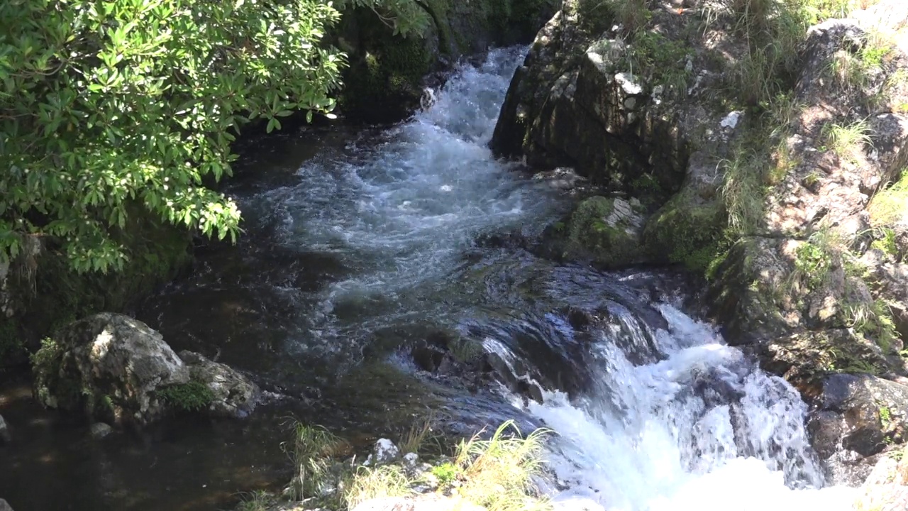 屋久岛/鹿儿岛，日本视频素材