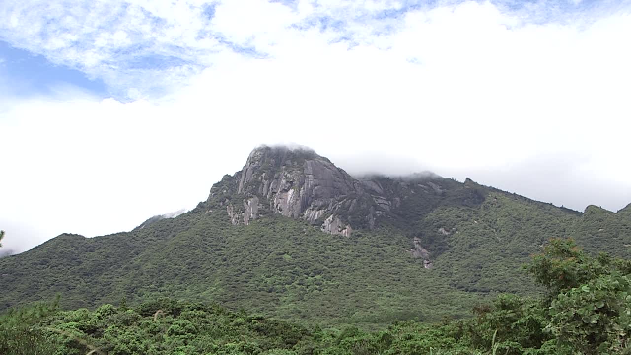 日本鹿儿岛屋久岛山间的云海视频素材