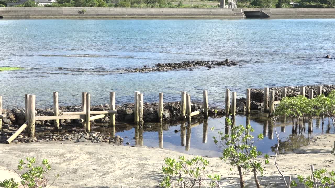 屋久岛-海景/鹿儿岛，日本视频素材