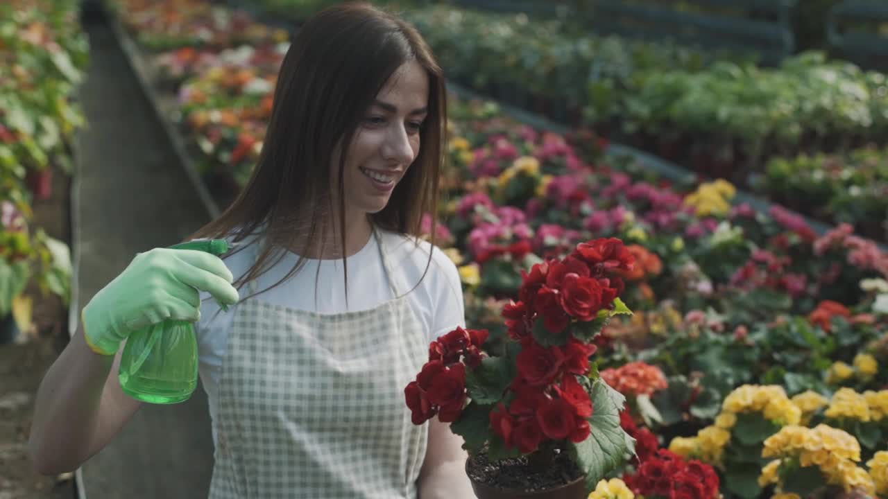 女孩在花园里喷花。白人女性通过滋润植物来照顾它们。园艺的慢动作视频视频素材