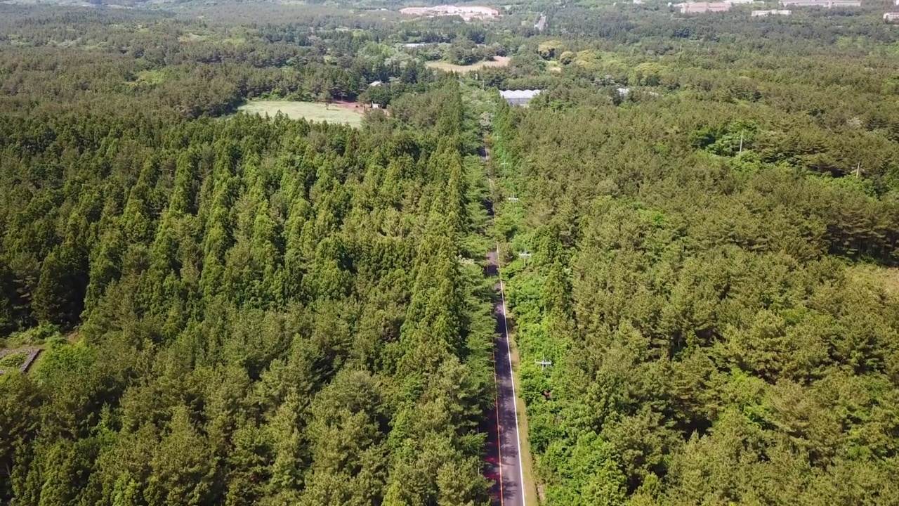 ▽农田、木材、森林、汉拿山=济州岛西归浦市1100村公路上的汽车运动视频素材