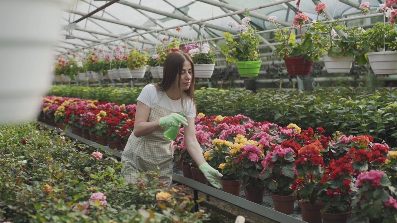 女孩在花园里喷花。白人女性通过滋润植物来照顾它们。园艺的慢动作视频视频素材