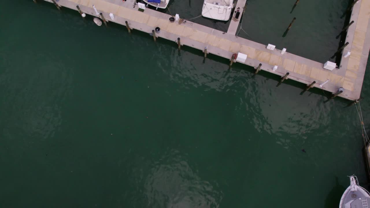 空中上向前拍摄的白色船舶停泊在港口在海上-迈阿密，佛罗里达州视频素材