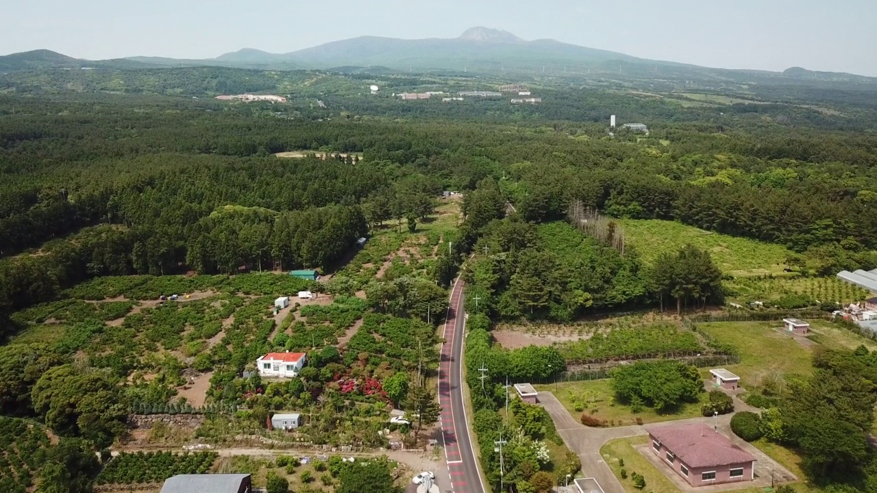 ▽农田、木材、森林、汉拿山=济州岛西归浦市1100村公路上的汽车运动视频素材