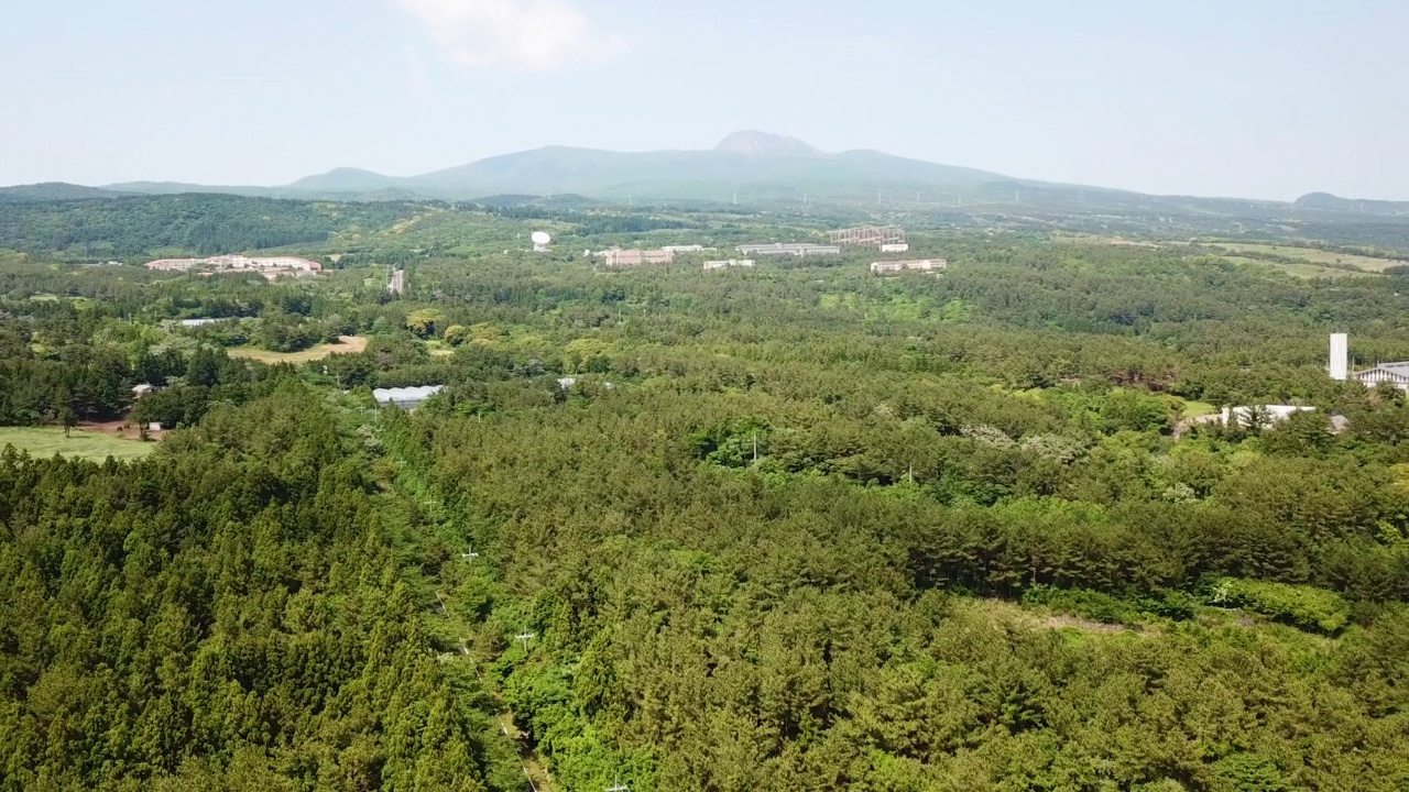 ▽森林、木材=济州岛西归浦市汉拿山1100号公路上的汽车运动视频素材