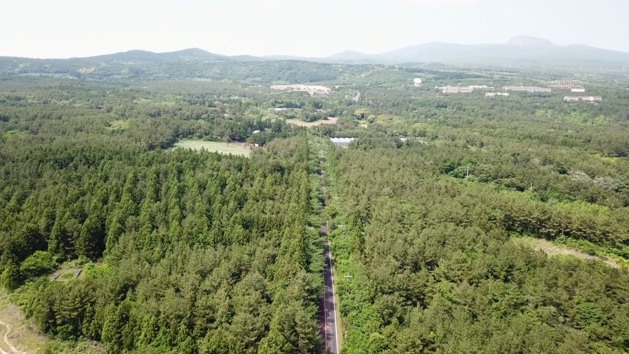 ▽农田、木材、森林、汉拿山=济州岛西归浦市1100村公路上的汽车运动视频素材