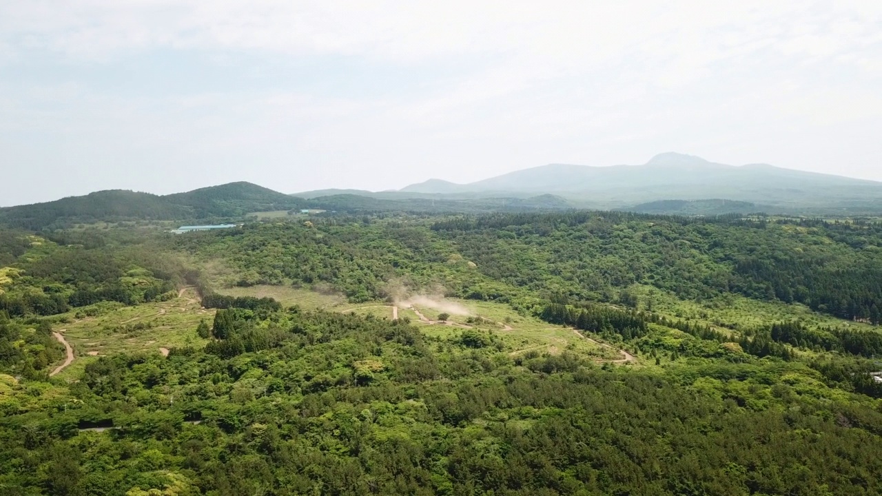 木材、森林和汉拿山的风景/西归浦市，济州岛，韩国视频素材