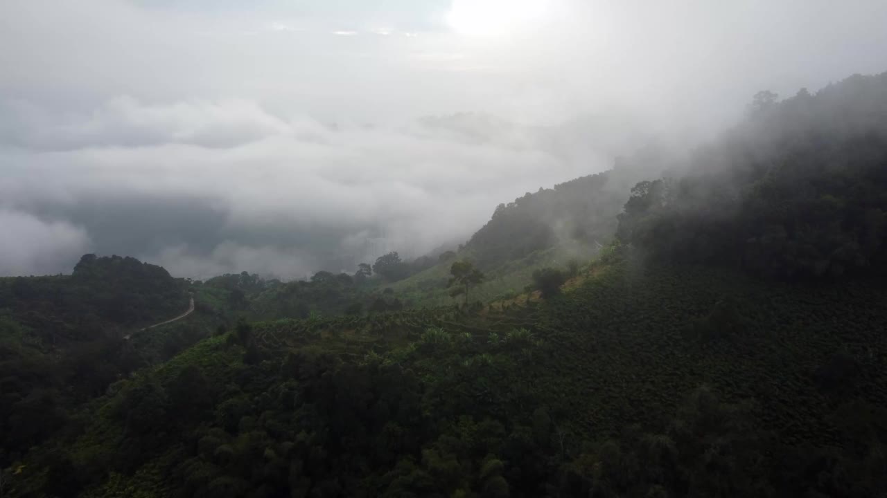 鸟瞰高地多雾低云视频素材