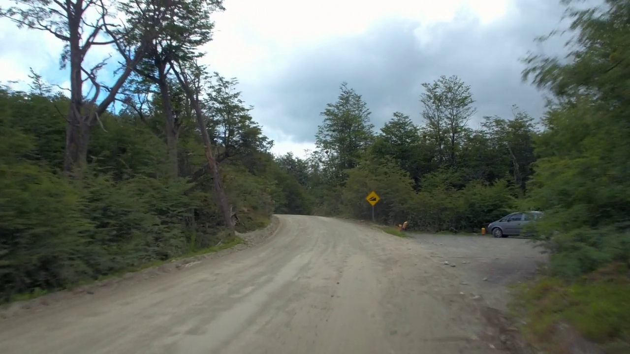 在森林中绿树中间的未铺设的道路-巴塔哥尼亚，阿根廷视频素材