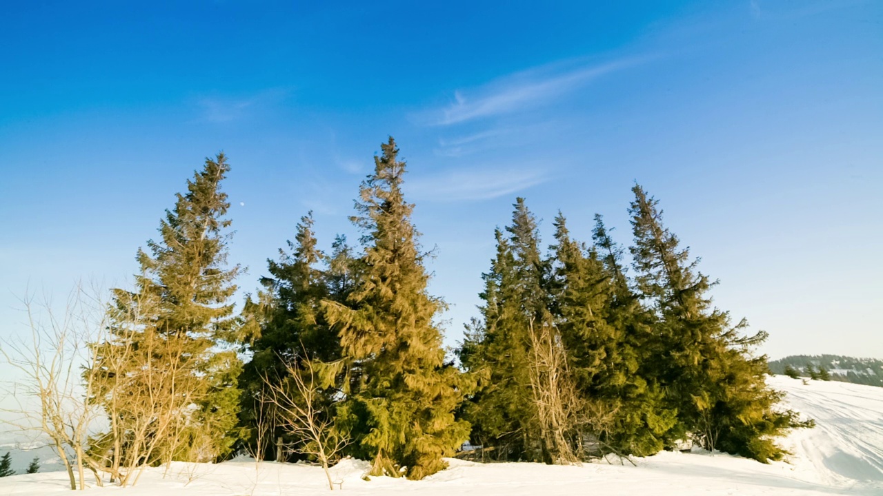 从上面看，巨大的荒野和雪山。在一个寒冷的冬日里，在一个阳光明媚的早晨拍摄的绿色云杉森林。高清高质量拍摄视频素材