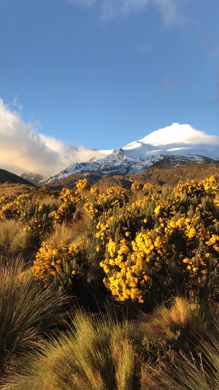 安第斯高地与科托帕希火山从基多，皮钦查省，厄瓜多尔，南美洲。视频素材