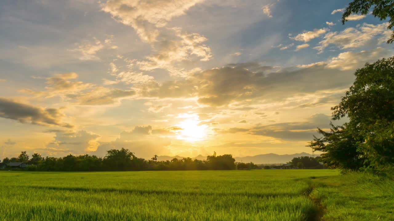 田野草地和云彩移动的夕阳4K时间流逝。视频素材