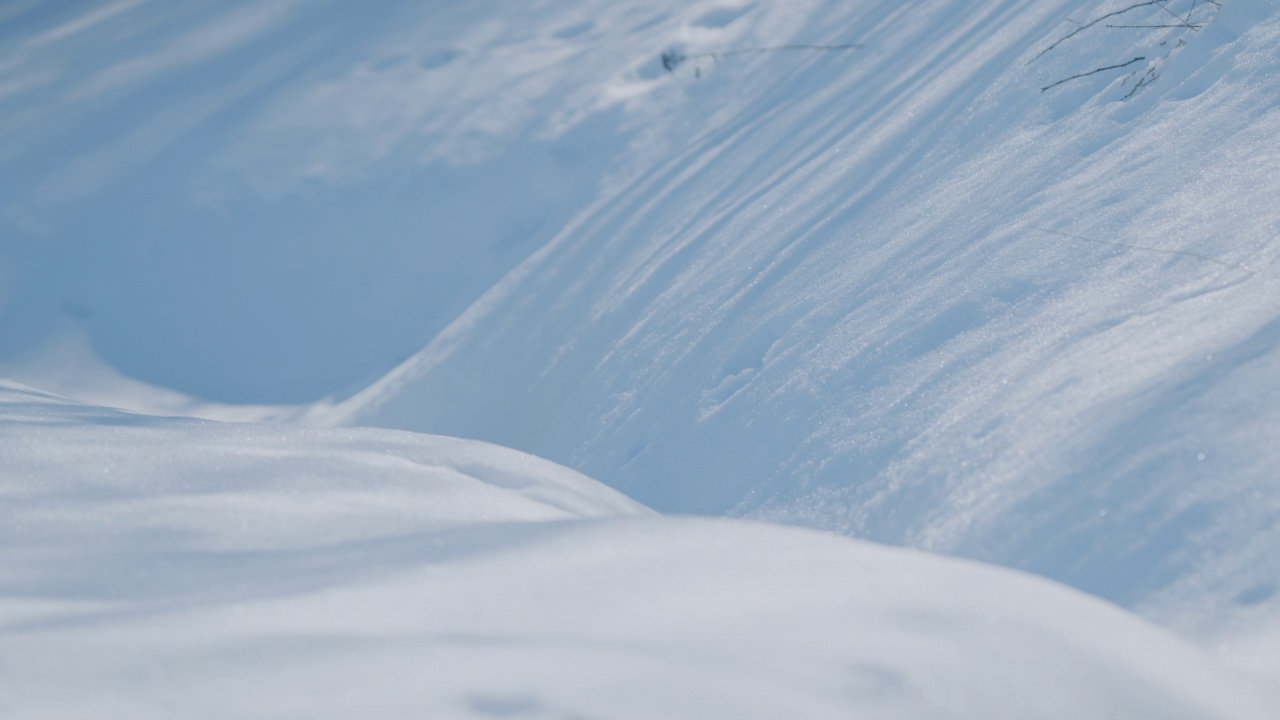 树影落在雪地上。和平和安静。视频素材