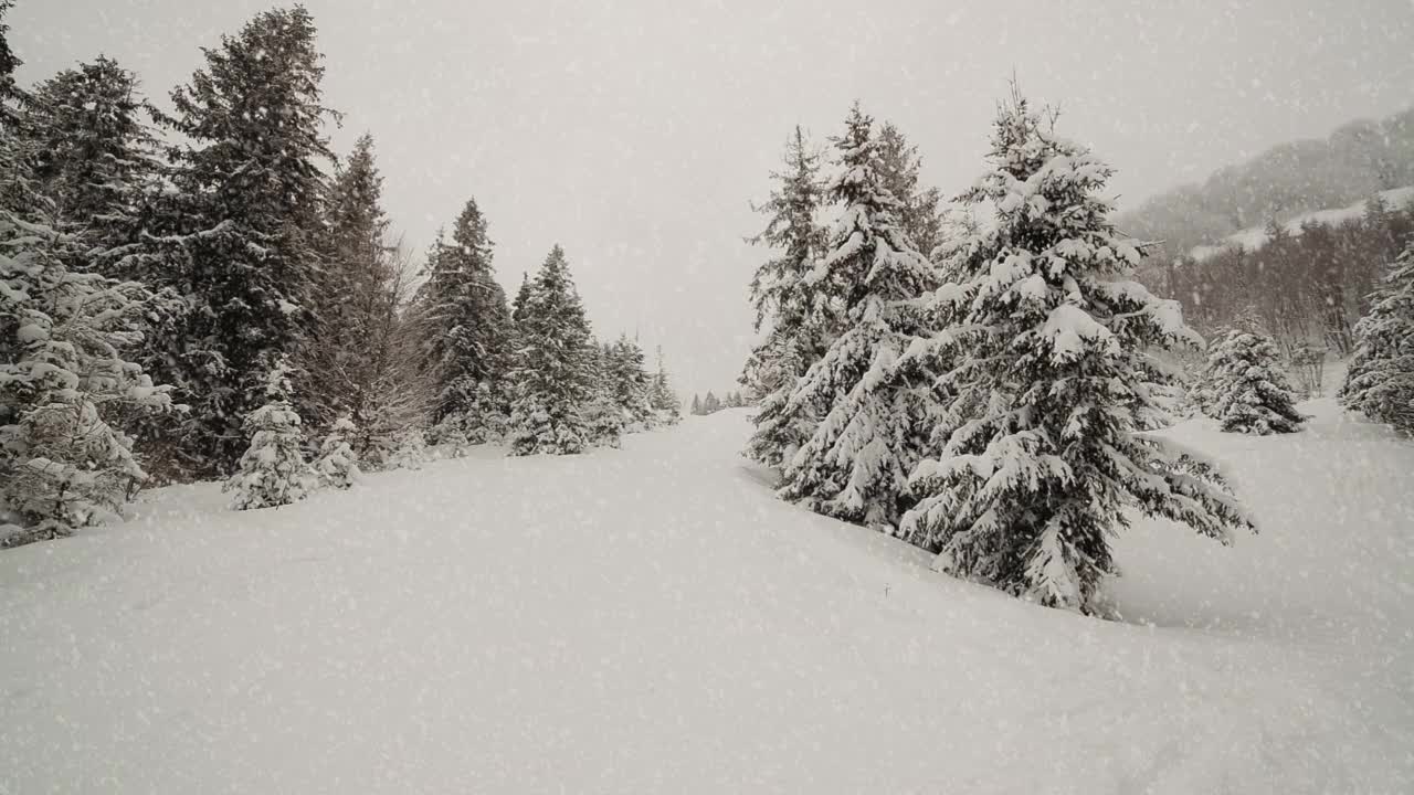 雪落在山上的森林树木上。美丽的4K超高清视频剪辑拍摄在寒冷的冬季喀尔巴阡山公园。高原国家公园的雪季镜头用4K拍摄视频素材