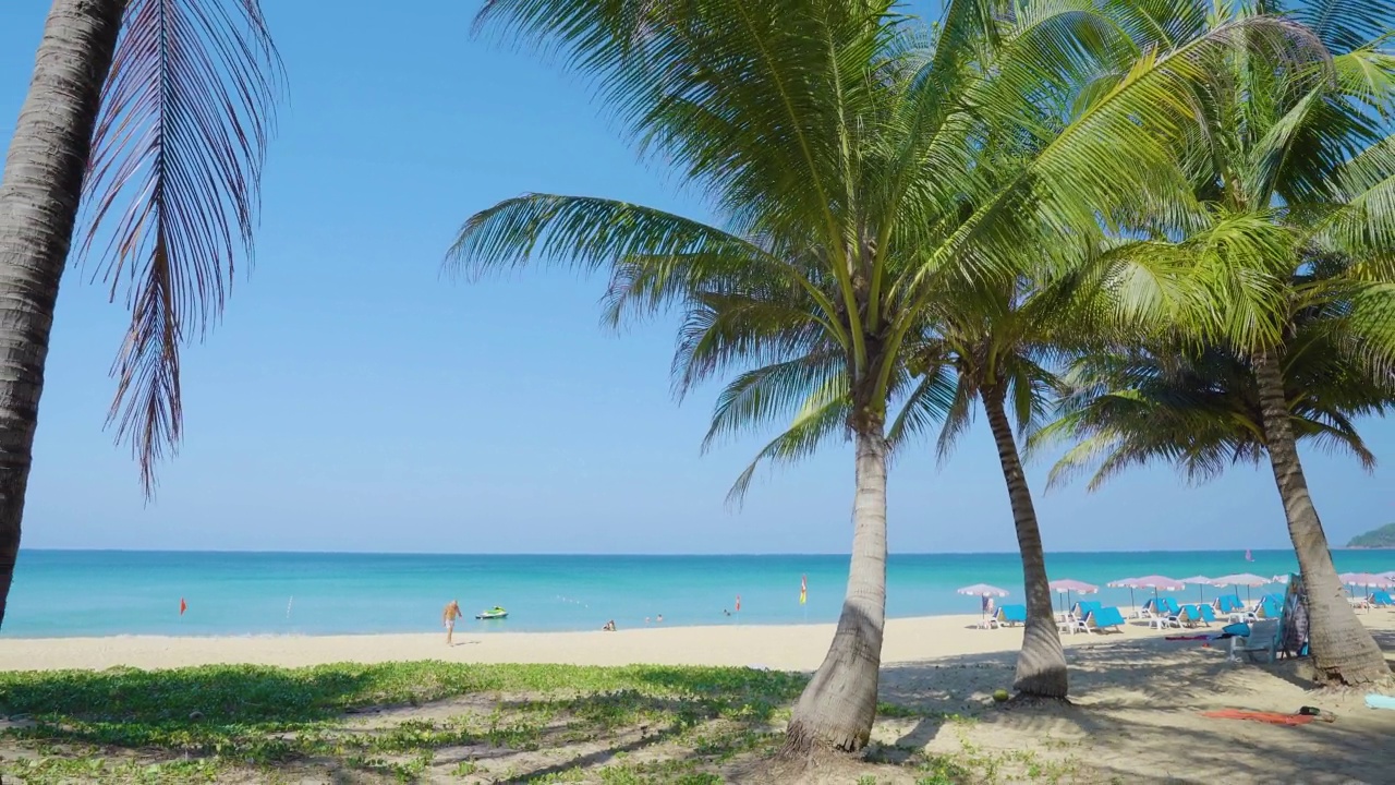 空旷的热带海滩和椰子树的景色映衬着蓝天日光。夏威夷。视频素材