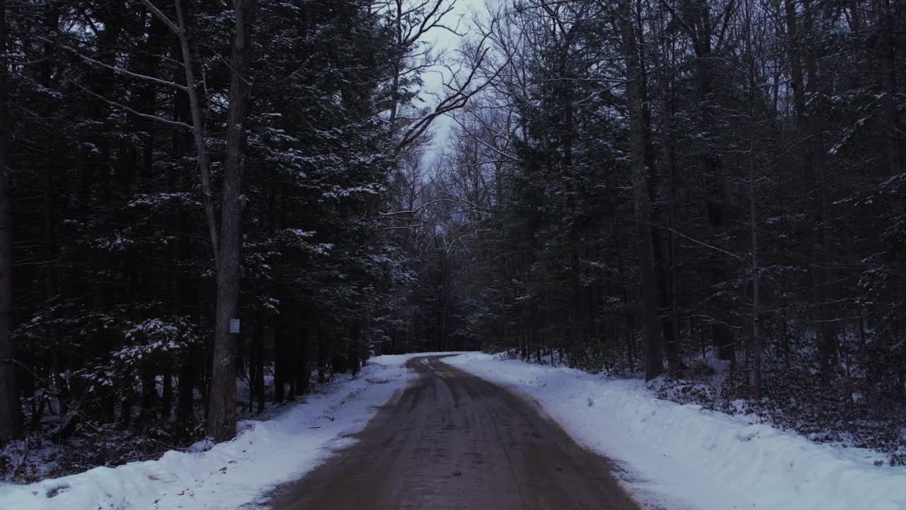 美丽的隔离土路穿过一个下雪，美丽的森林视频下载