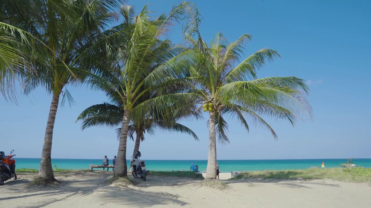 空旷的热带海滩和椰子树映衬着蓝天的景色。夏威夷。视频素材