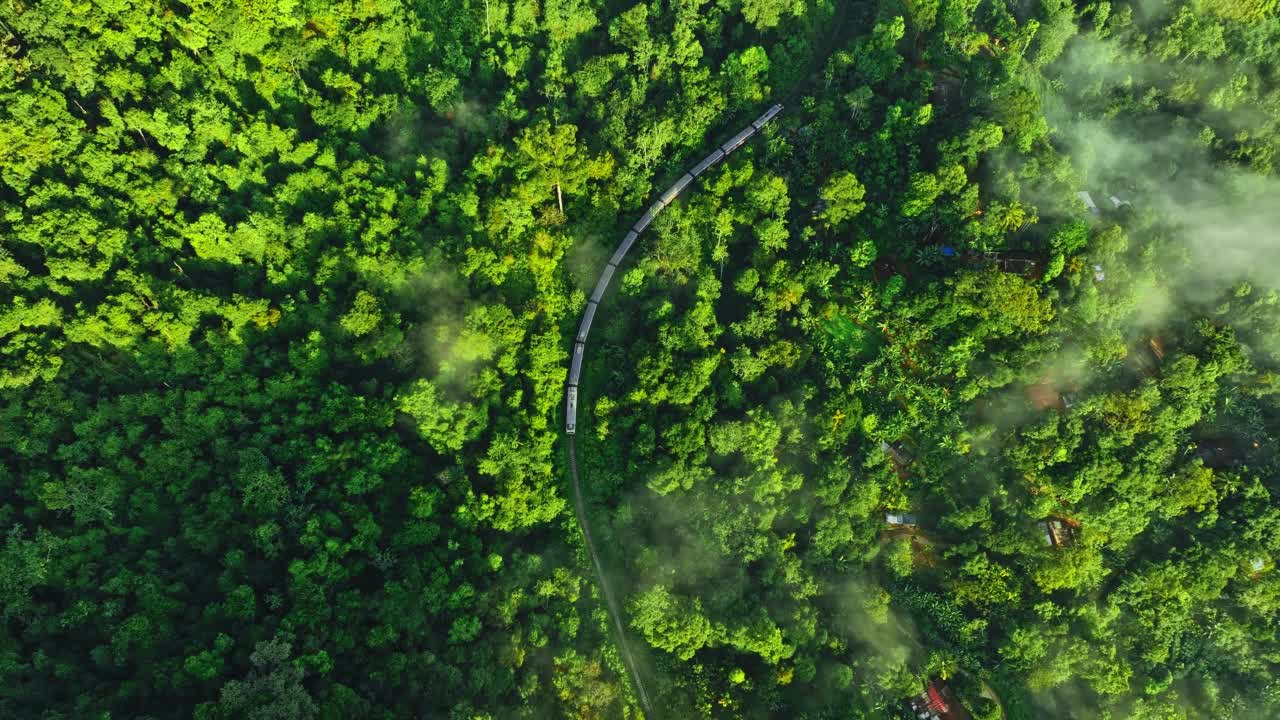 空中无人机在云雾缭绕的森林中拍摄火车视频素材