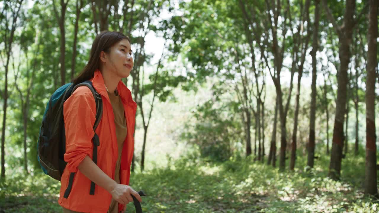 在森林里徒步旅行的年轻女子视频素材