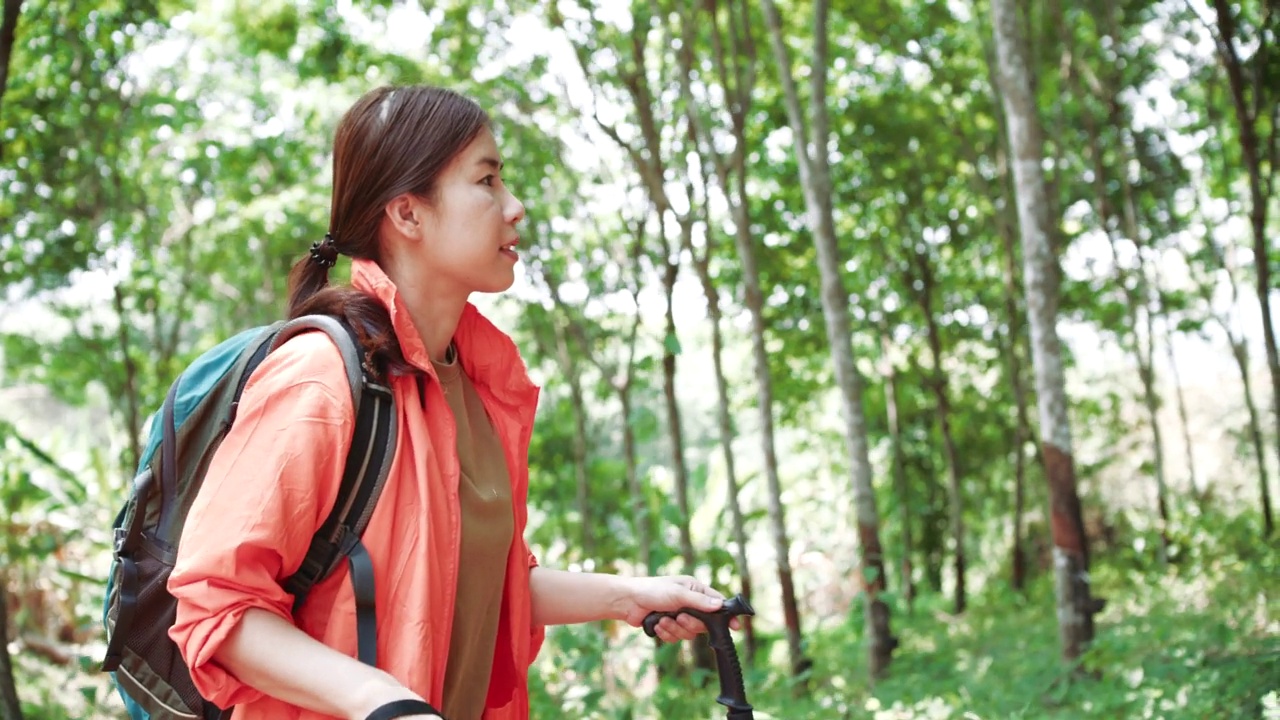 在森林里徒步旅行的年轻女子视频素材