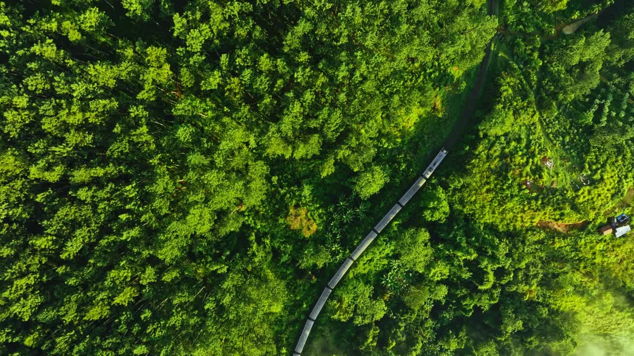 空中无人机在云雾缭绕的森林中拍摄火车视频素材