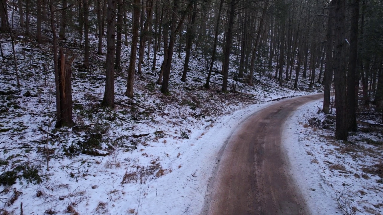 美丽的隔离土路穿过一个下雪，美丽的森林视频素材