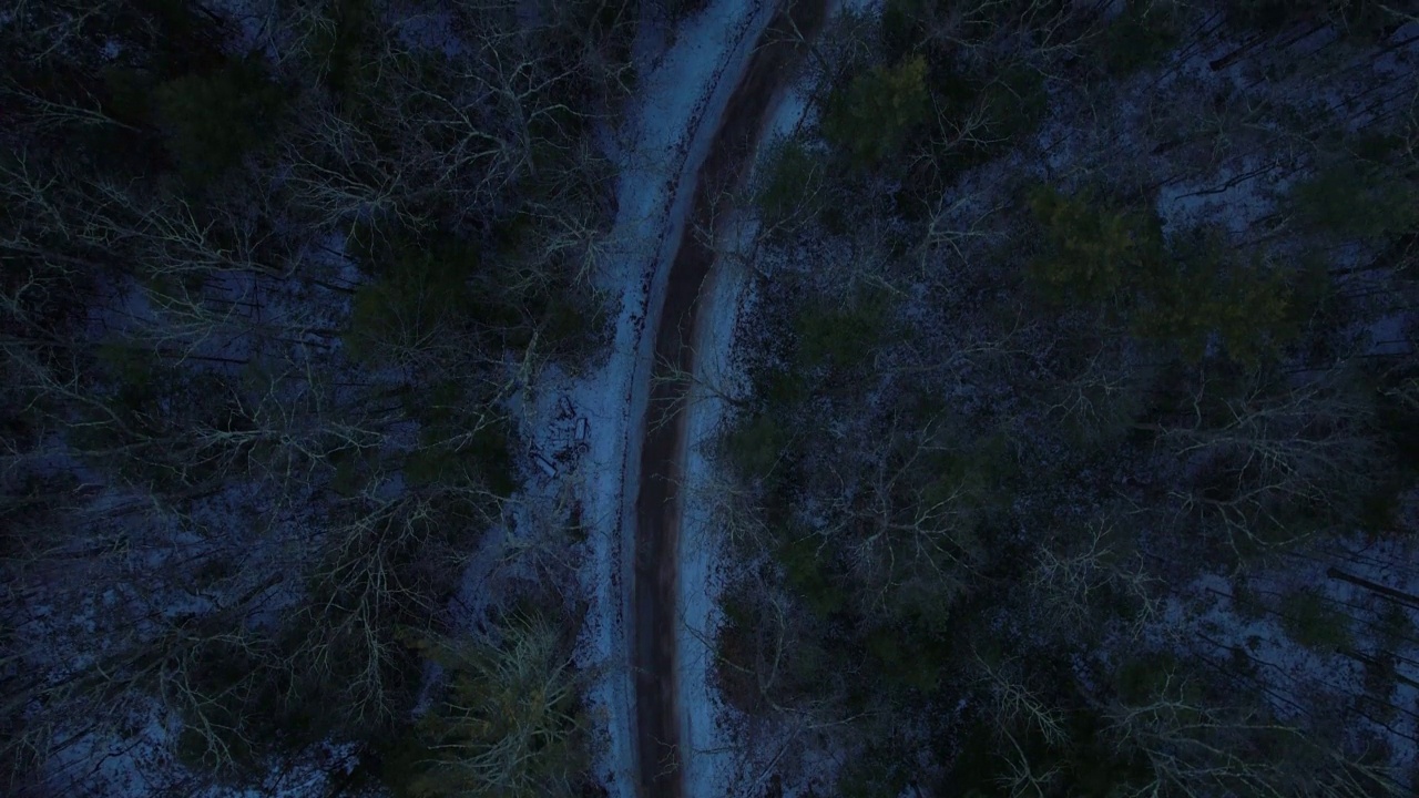 从上到下的无人机拍摄的美丽的雪林道路视频素材