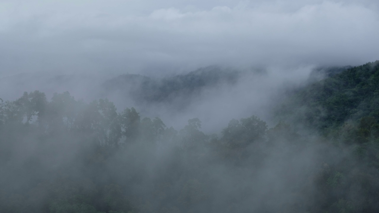 雾天的热带雨林和山丘景观视频素材