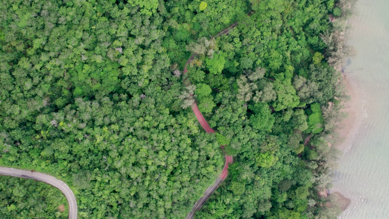 俯瞰乡村道路穿过绿色的森林和山脉视频素材