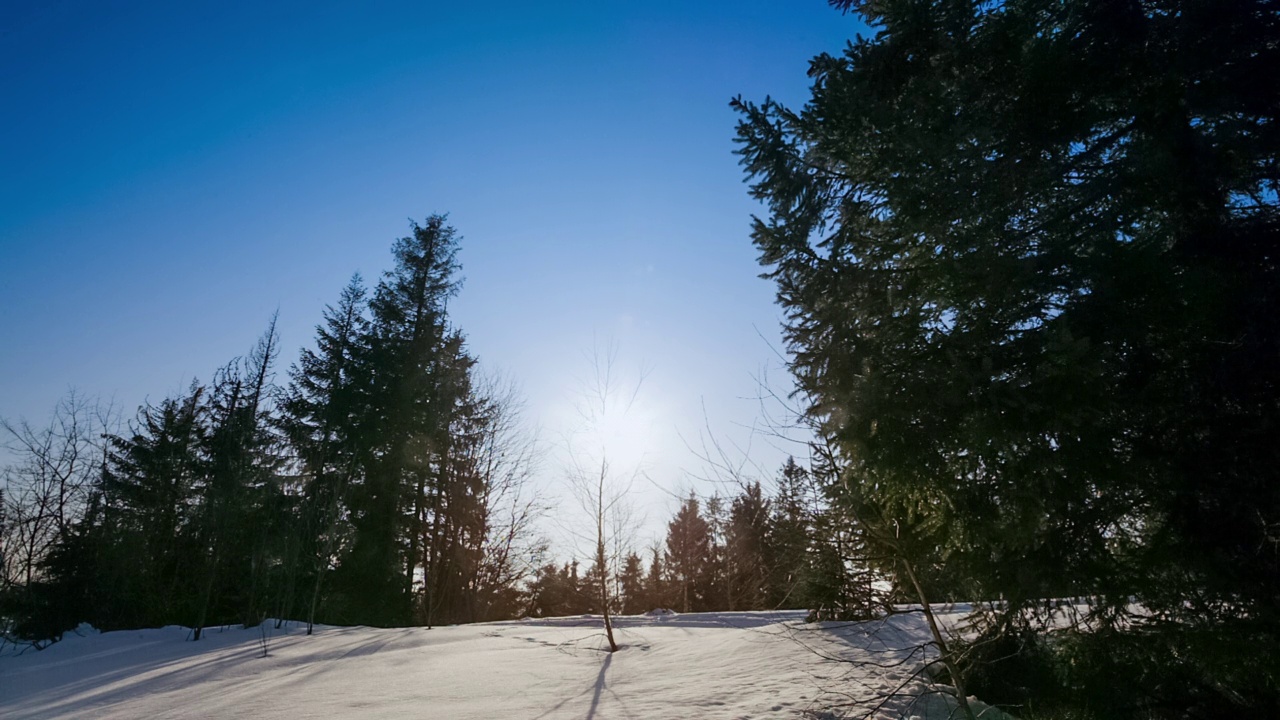 从上面看，巨大的荒野和雪山。在一个寒冷的冬日里，在一个阳光明媚的早晨拍摄的绿色云杉森林。高清高质量拍摄视频素材