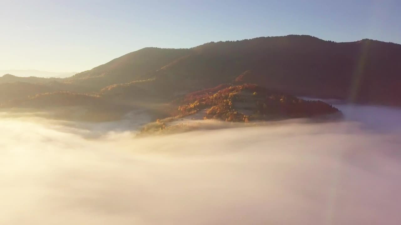 雨后的云在山上移动的美妙感觉。在日出期间在云层上方飞行，从无人机俯瞰云层和山脉。喀尔巴阡山脉，Synevyr山口，乌克兰。视频素材