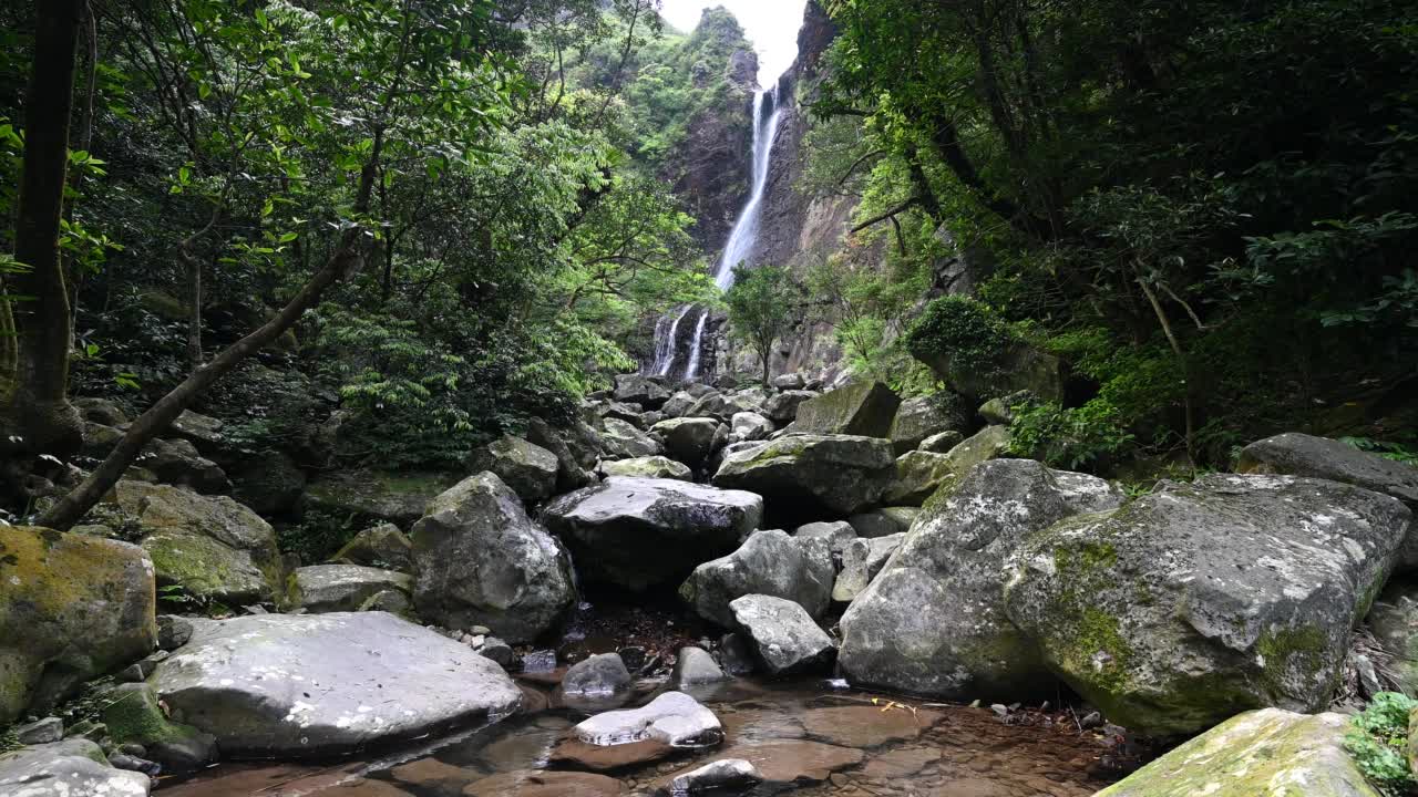 大阿里帮瀑布隐藏在森林中，溪流从高高的悬崖上倾泻而下，大岩石上长满了青苔，位于台湾新北市金山。视频素材