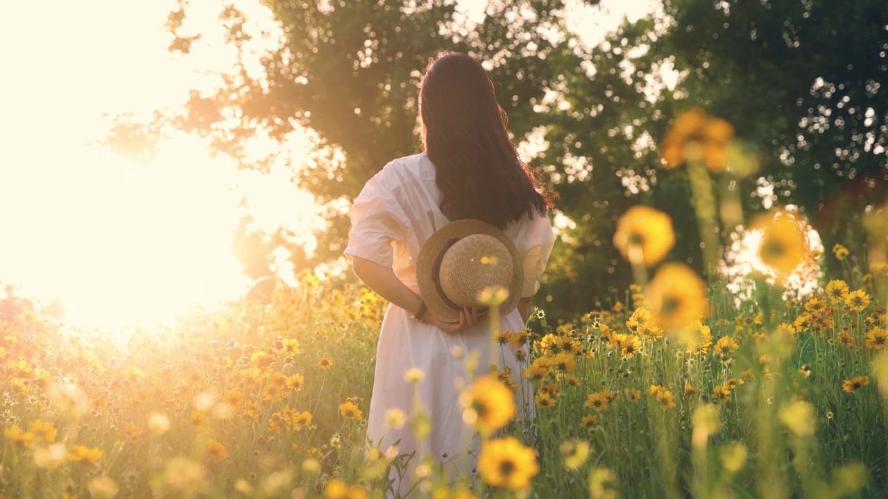 年轻女子站在花田看着夕阳视频素材