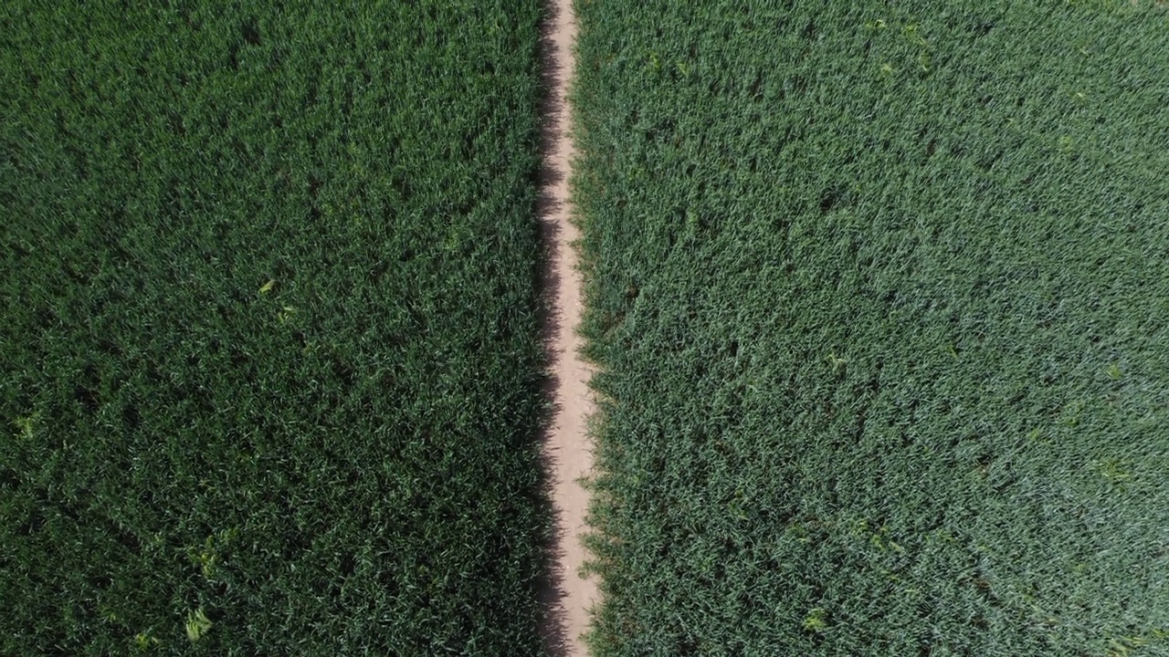 通路在现场视频素材