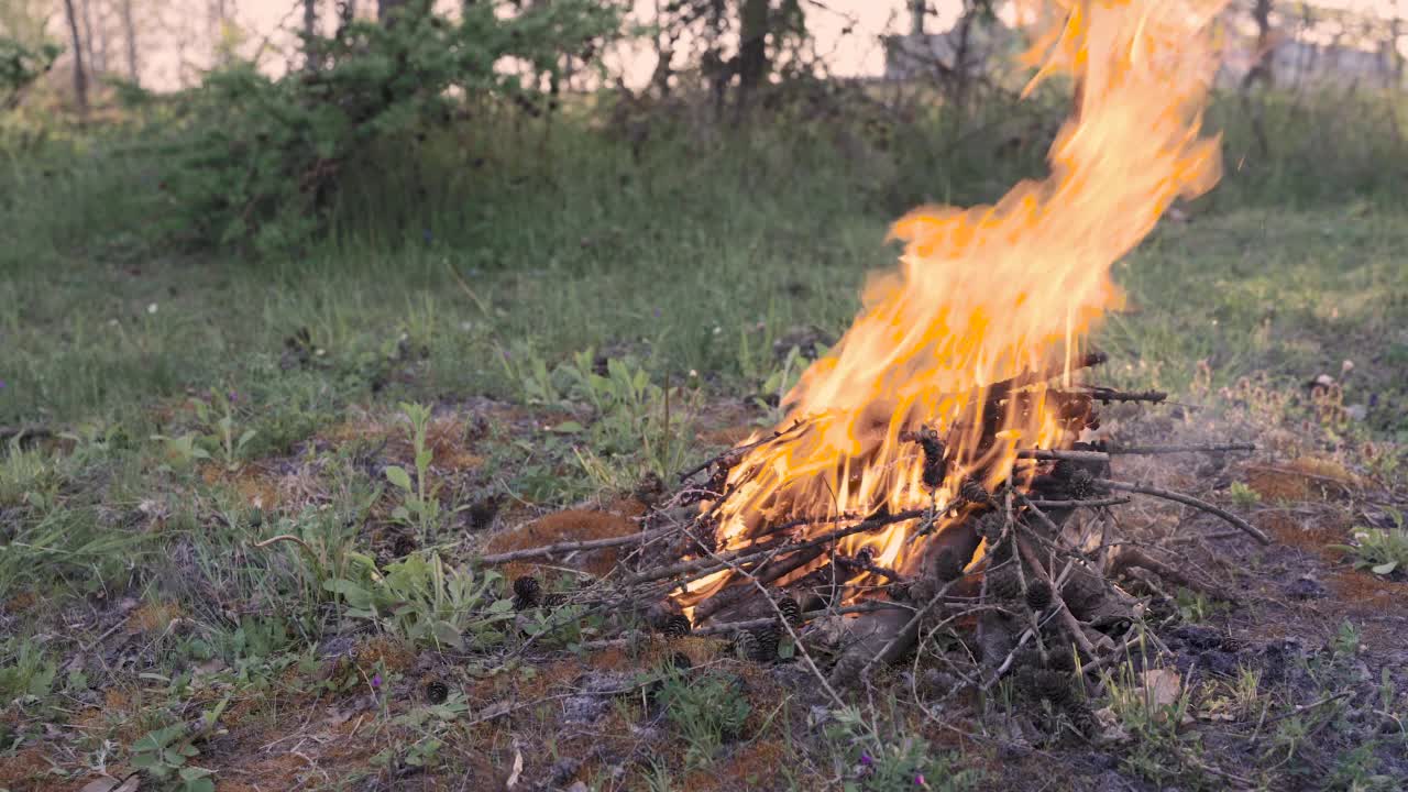 夕阳西下，树林里的火在燃烧。在森林空地上露营视频素材