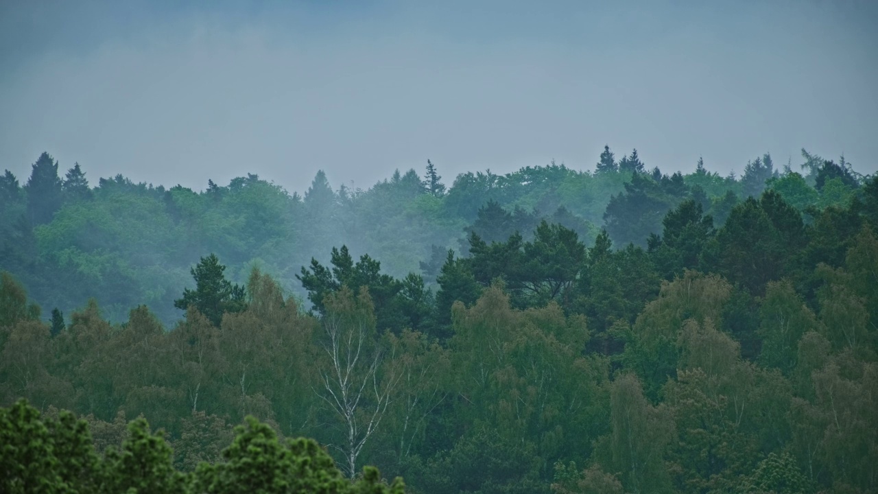 雨云和雾漂浮在波兰的绿色森林山时间流逝视频素材