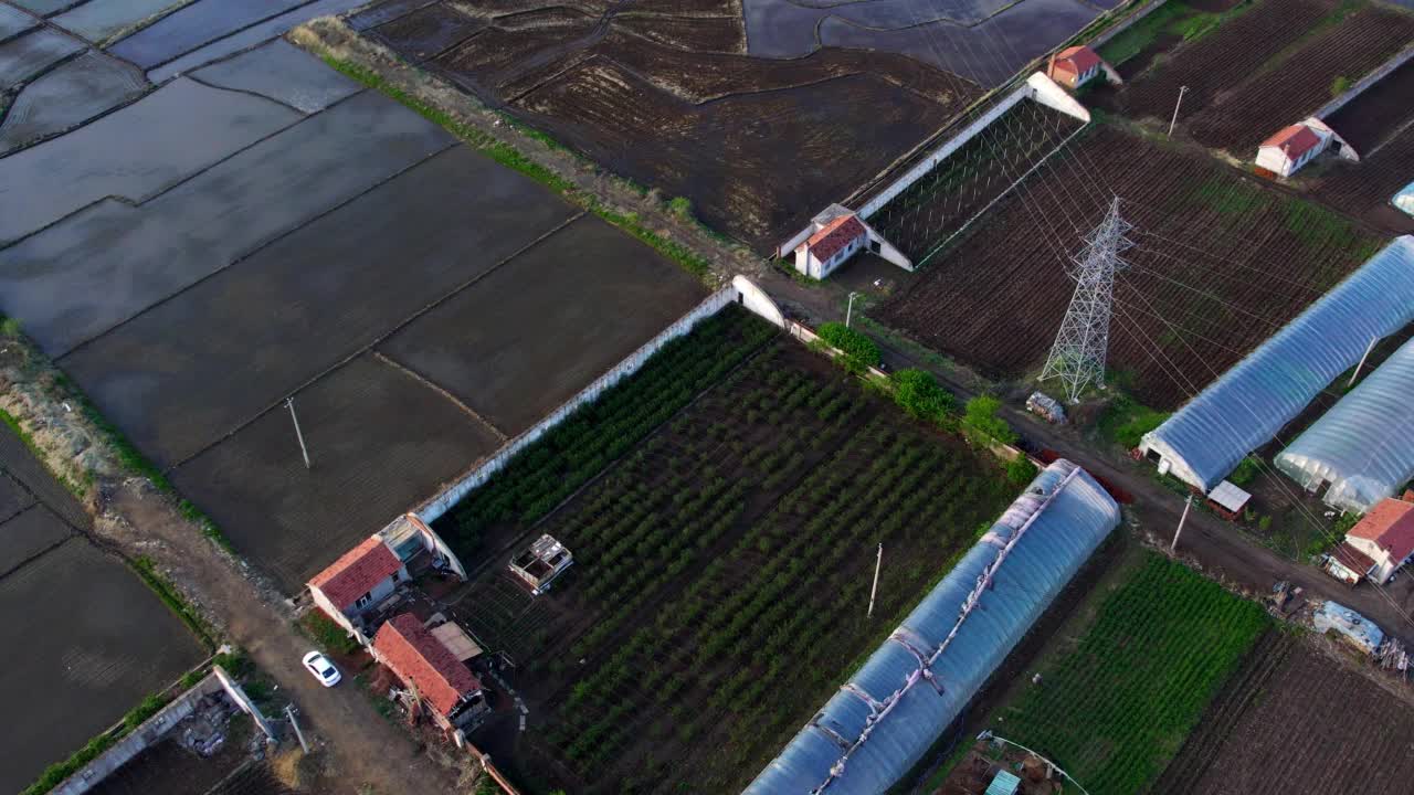 稻田鸟瞰图视频素材