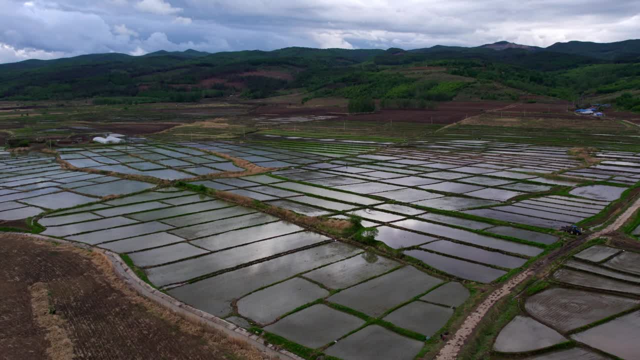 稻田鸟瞰图视频素材