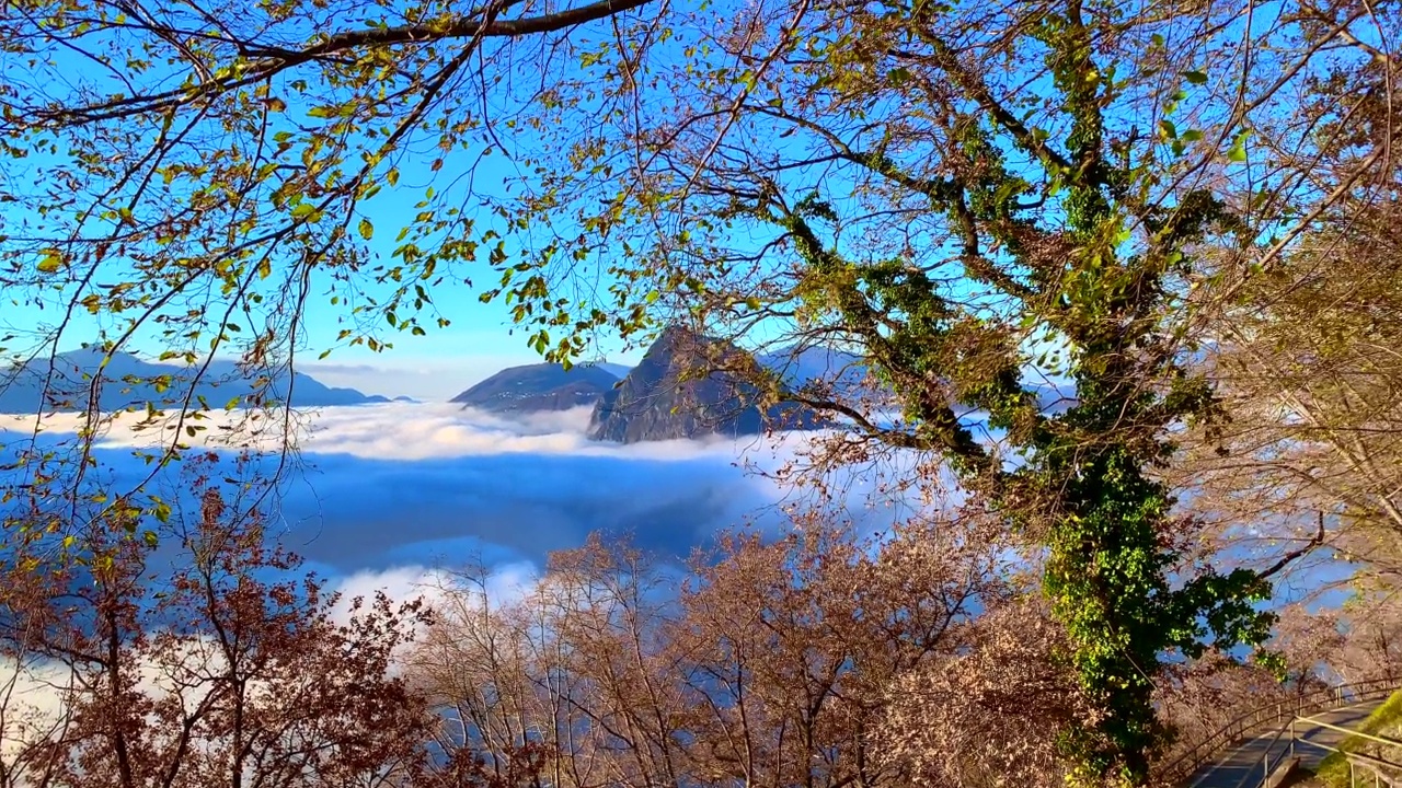 高寒的卢加诺湖全景云海和山与树在一个晴朗的秋日视频素材