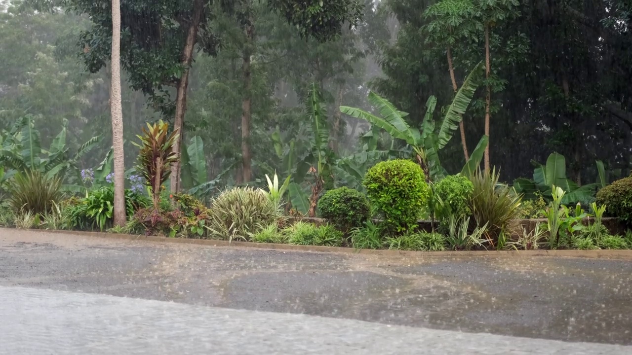 非洲的雨季。视频素材