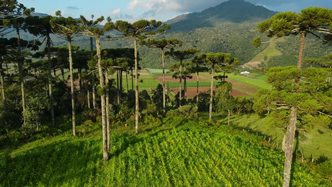 巴西，圣卡塔琳娜，有山和田野的农村地区鸟瞰图视频素材