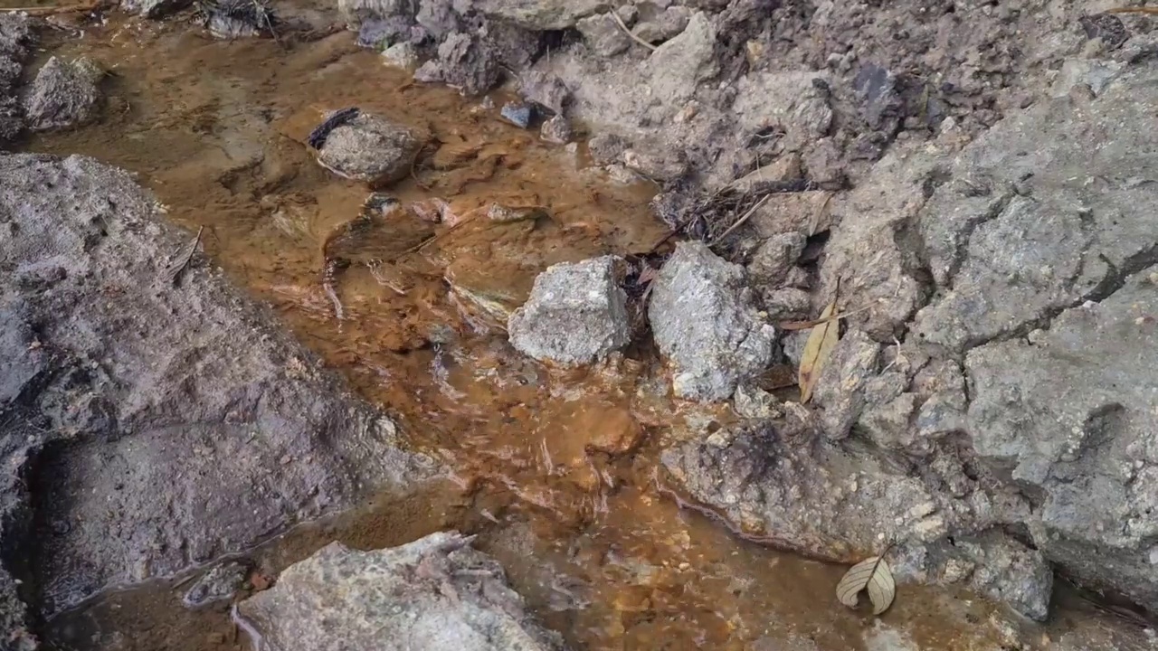 清澈的流水视频下载