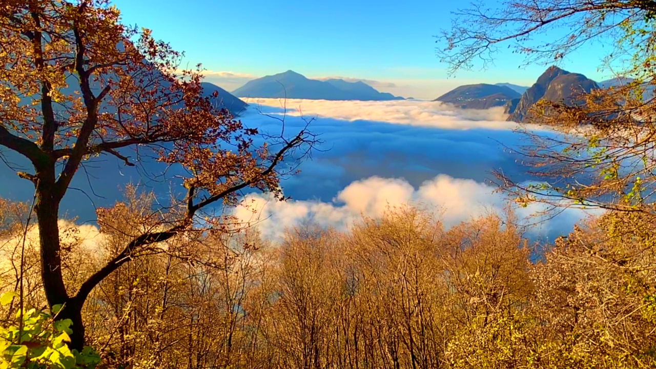 高寒的卢加诺湖全景云海和山与树在一个晴朗的秋日视频素材