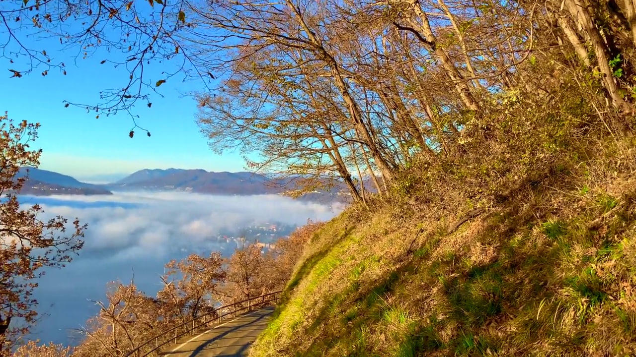 高寒的卢加诺湖全景云海和山与树在一个晴朗的秋日视频素材