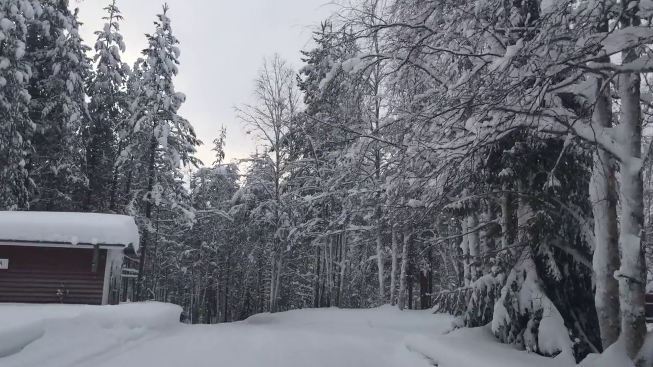 开车穿过白雪覆盖的风景视频素材