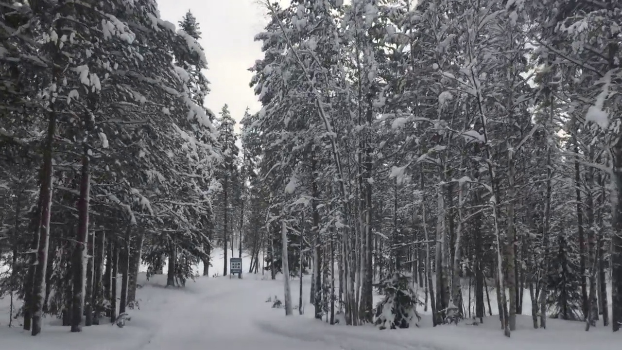 开车穿过白雪覆盖的风景视频素材