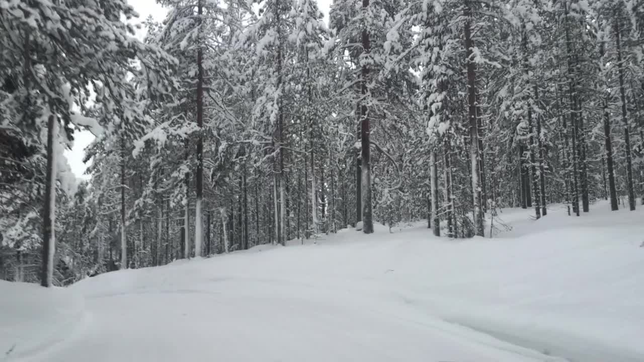 开车穿过白雪覆盖的风景视频素材